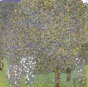 Gustav Klimt Rose Bushes Under the Trees oil